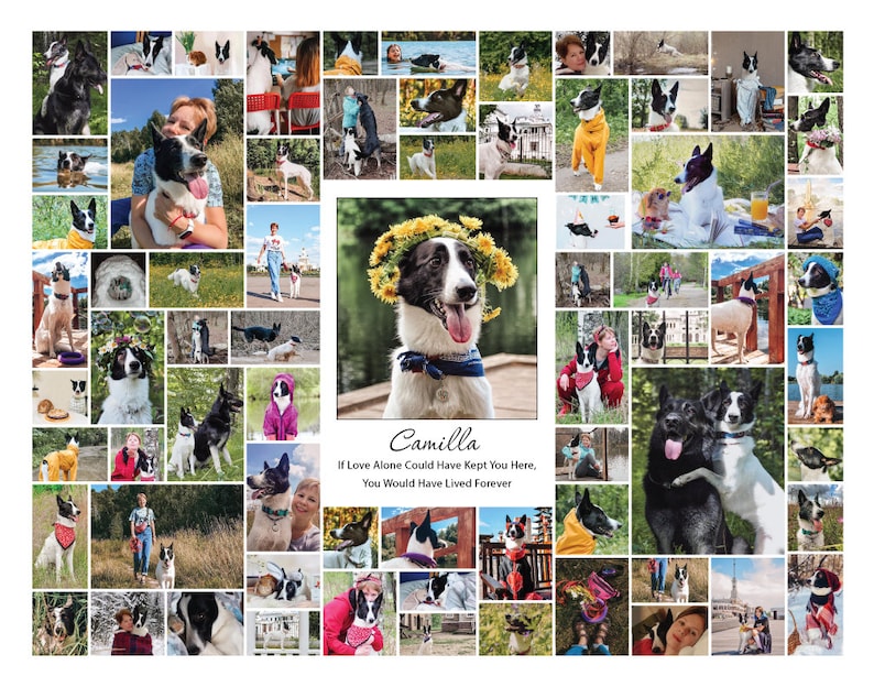 Photo collage Pet memorial gift with photo pet dog memorial gift dog remembrance gift custom pet gift cat memorial gift pet loss gifts image 4