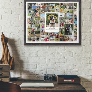May include: A framed collage of photos featuring a black and white dog named Camilla. The collage includes photos of the dog in various settings, including outdoors, indoors, and with people. The text "Camilla" and "If Love Alone Could Have Kept You Here, You Would Have Lived Forever" is printed below the photos.