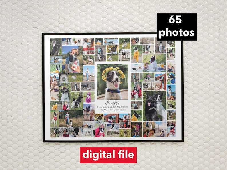 May include: A black and white photo collage of a dog named Camilla. The collage is made up of 65 photos of the dog in various poses and settings. The text "Camilla If Love Alone Could Have Kept You Here, You Would Have Lived Forever" is printed below the collage.