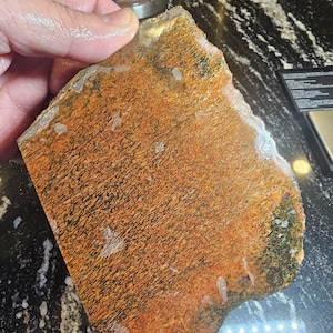 Dinosaur Gembone, Dino Bone, Dinosaur Bone, Big slab. 243.4 Grams. DB1
