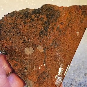 Dinosaur Gembone, Dino Bone, Dinosaur Bone, Big slab. 219 Grams. DB4