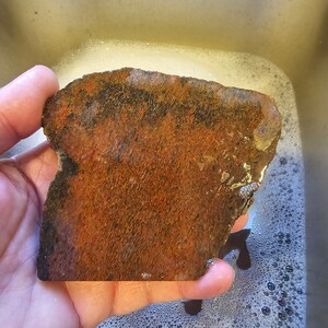 Dinosaur Gembone, Dino Bone, Dinosaur Bone, Big slab. 196 Grams. DB3