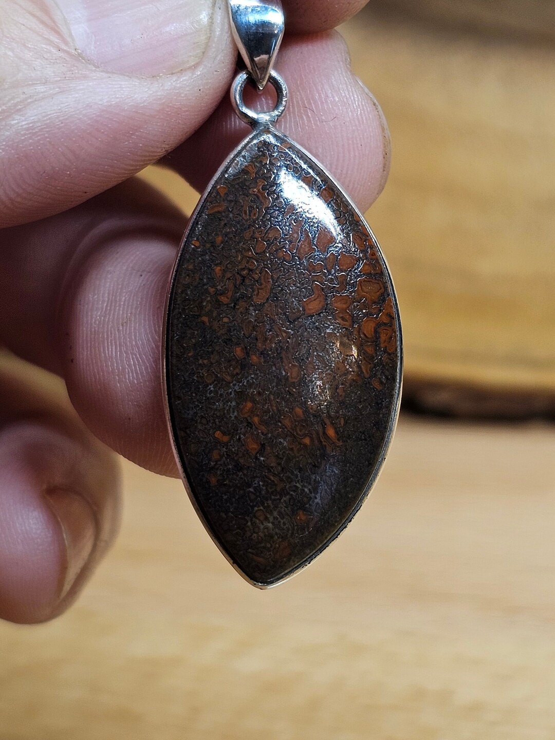 Sterling Silver Dinosaur Gembone Pendant: Polished Red Fossil - Etsy