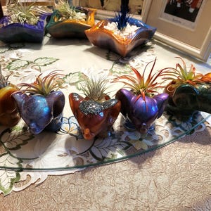 Elephant planter with airplant when available, hens and chick&#39;s when available
