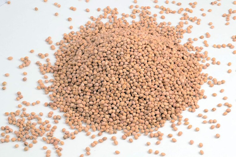 Cherry Pits/cherry Pit Crafts/cherry Pit Stones/bulk Cherry Pits