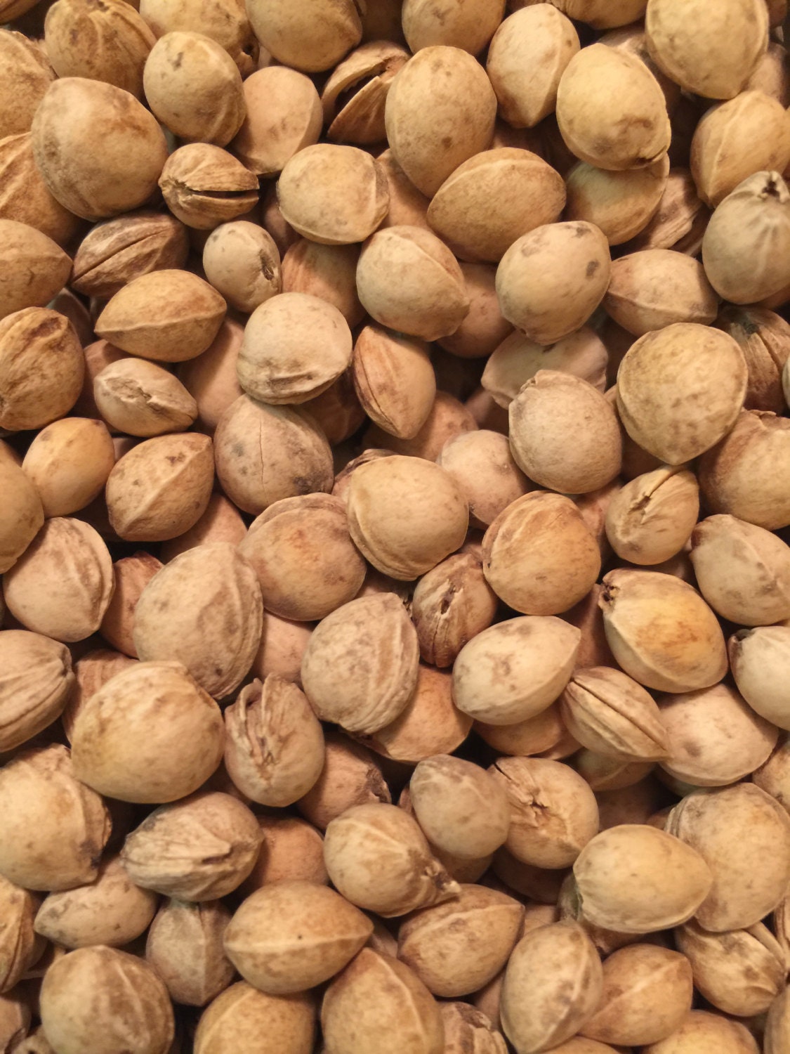 Craft Cherry Pits FREE SHIPPING All Natural Dried Cherry Pit Etsy UK
