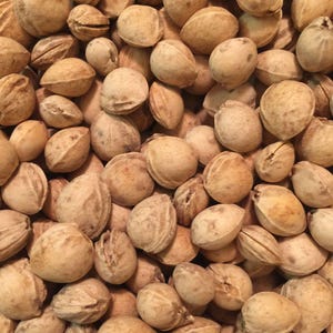 May include: A close-up image of a pile of light brown apricot kernels. The kernels are smooth and slightly oval-shaped.