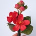 see more listings in the Tree  blossom section