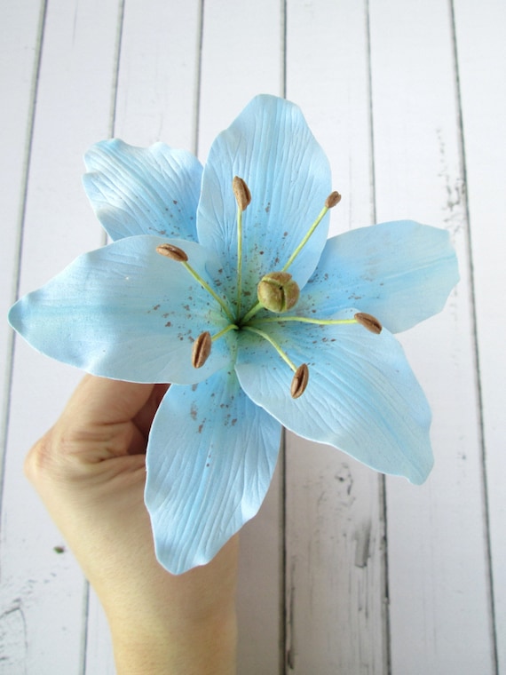 Lily hair clearance pin