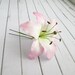 see more listings in the Lily hair pins section