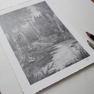 Foresta - Disegno grafite originale, Matita, Carta, Arte, Illustrazione, Arte, Natura, Foresta, Animale, Paesaggio