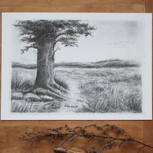 Kunstdruck - Wiese - A4, A5, Poster, Bleistift, Zeichnung, Wald, Tiere, Natur, Landschaft