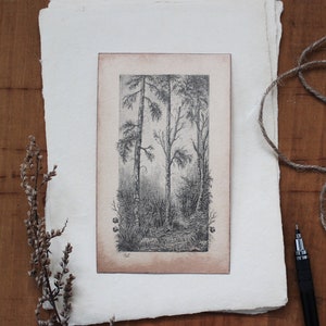 Woodland - 3.5" x 5.75", Original Graphite Drawing, Pencil Drawing, Illustration, Art, Nature, Forest, Landscape, Tree
