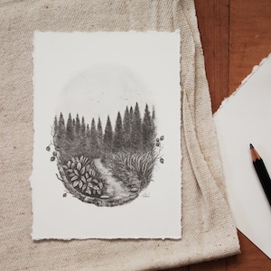Promenade en forêt - Dessin en graphite original, Crayon, Papier, Type, Illustration, Art, Nature, Forêt, Paysage, A6, Carte postale
