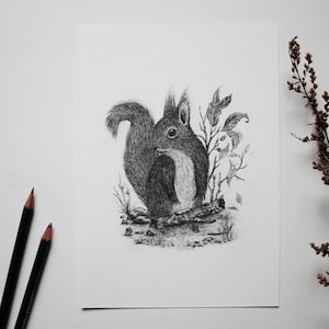 Kunstdruck - Eichhörnchen - A4, A5, Poster, Bleistift, Zeichnung, Wald, Tiere, Natur