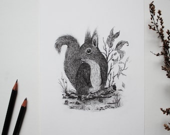 Art Print - Squirrel - A4, A5, Poster, Pencil, Drawing, Forest, Animals, Nature