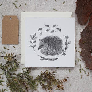 Postkarte - Igel - 12x12 cm, Weihnachten, Grußkarte, Geburtstagskarte, Ostern, Bleistift, Zeichnung, Illustration, Tiere, Natur