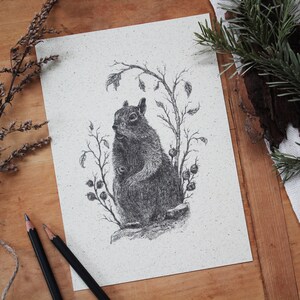 Kunstdruck - Eichhörnchen - A5, Graspapier, Poster, Bleistift, Zeichnung, Wald, Tiere, Natur