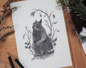 May include: A black and white pencil drawing of a squirrel sitting on a branch with berries. The squirrel is facing to the left and has a bushy tail.