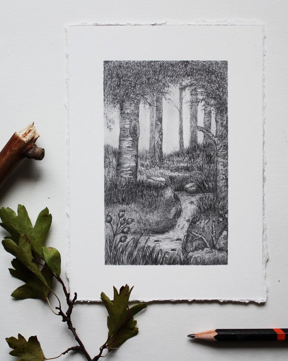 グラファイト鉛筆画。