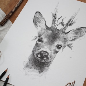 Kunstdruck - Rehbock - 30 x 40 cm, Poster, Wohnen, Wand Deko, Fine Art, Bleistift, Zeichnung, Illustration, Tiere, Natur, Geburtstag
