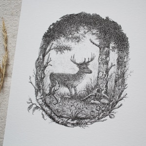 Art Print - Roebuck in the Forest - A5, Póster, Lápiz, Dibujo, Bosque, Animales, Naturaleza, Ciervo