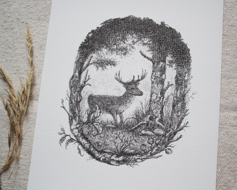 K&ouml;nnte beinhalten: Eine Schwarzwei&szlig;-Bleistiftzeichnung eines Hirsches, der in einem Wald steht. Der Hirsch befindet sich in der Mitte des Bildes und ist von B&auml;umen umgeben. Die Zeichnung ist in einem realistischen Stil gehalten.