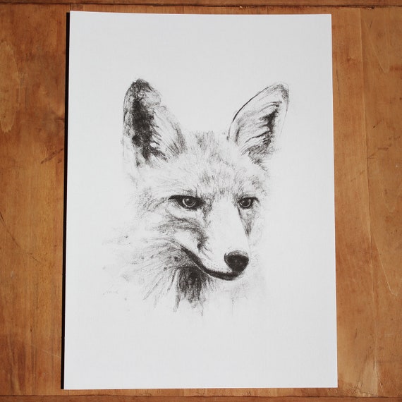 Fuchs Zeichnen Bleistift