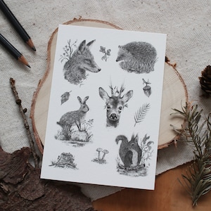 Postal - Animales del bosque - A6, Navidad, Tarjeta de felicitación, Tarjeta de cumpleaños, Pascua, Lápiz, Dibujo, Ilustración, Animales, Naturaleza