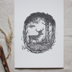 K&ouml;nnte beinhalten: Eine Schwarzwei&szlig;zeichnung mit Feder und Tinte eines Hirsches, der in einem Wald steht. Der Hirsch befindet sich in der Mitte des Bildes und ist von B&auml;umen und B&uuml;schen umgeben. Die Zeichnung ist in einem realistischen Stil gehalten.