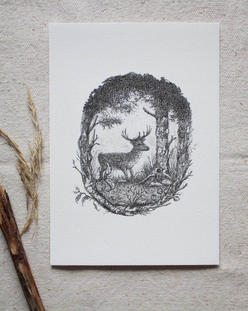 K&ouml;nnte beinhalten: Eine Schwarzwei&szlig;zeichnung mit Feder und Tinte eines Hirsches, der in einem Wald steht. Der Hirsch befindet sich in der Mitte des Bildes und ist von B&auml;umen und B&uuml;schen umgeben. Die Zeichnung ist in einem realistischen Stil gehalten.