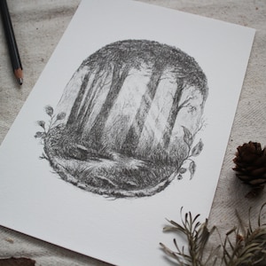 Kunstdruck - Waldlicht - A4/A5, Poster, Bleistift, Zeichnung, Wald, Tiere, Natur, Landschaft
