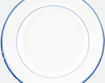 Antique Kuznetsov Riga Imperial Russia Faience Dinner Plat Dish 1889-1917