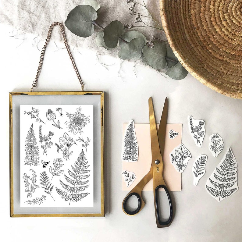 May include: A set of black and white botanical illustrations featuring ferns, leaves, and flowers. The illustrations are printed on white paper and are ready to be cut out and used for crafting projects.