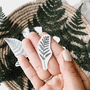May include: A black and white line drawing of a fern leaf on a white background.