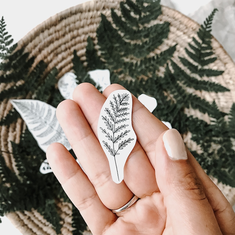 May include: A black and white line drawing of a fern leaf on a white background.