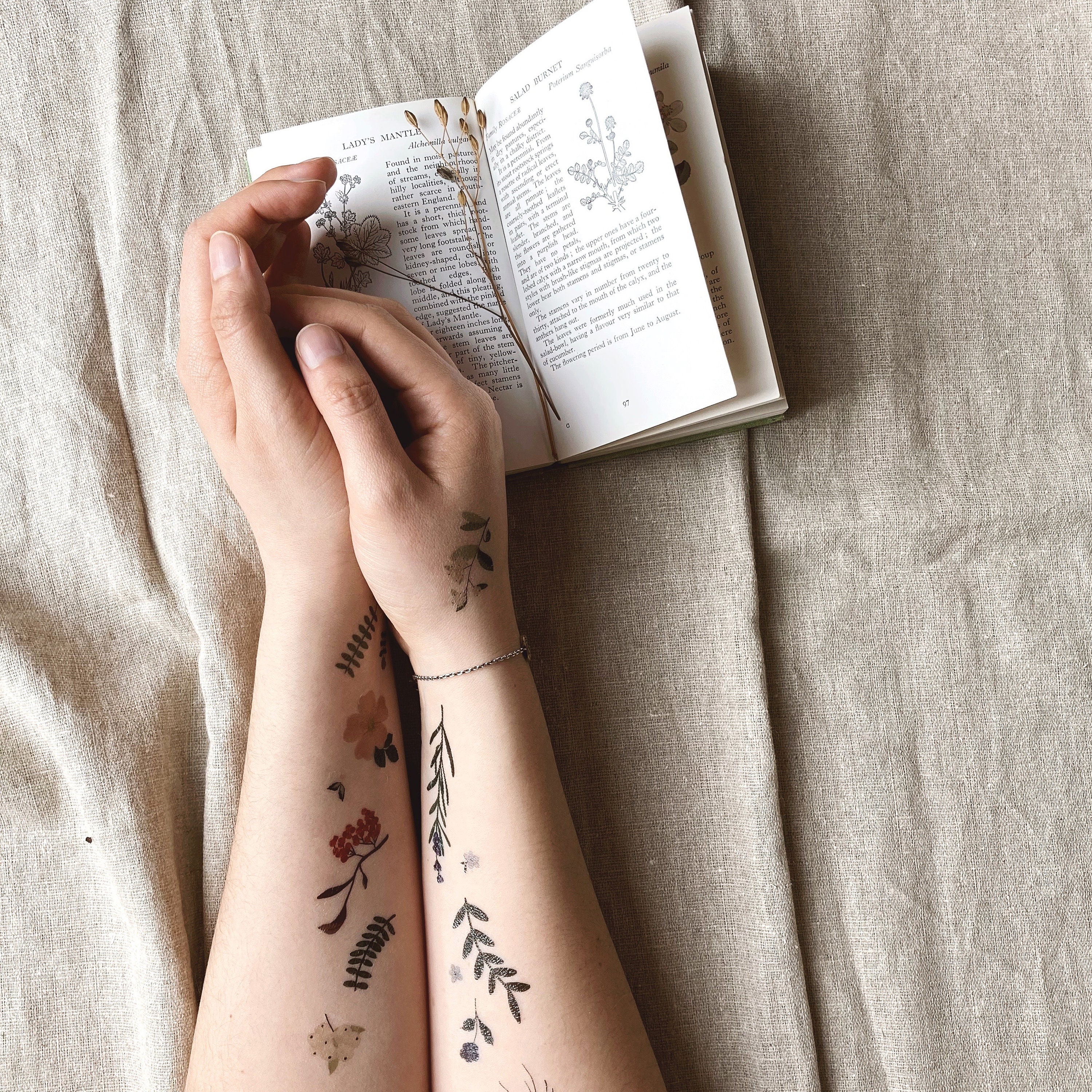 Tatouage Feuille De Vigne Signification Tatouages temporaires de couleur/ Tatouages temporaires de - Etsy France