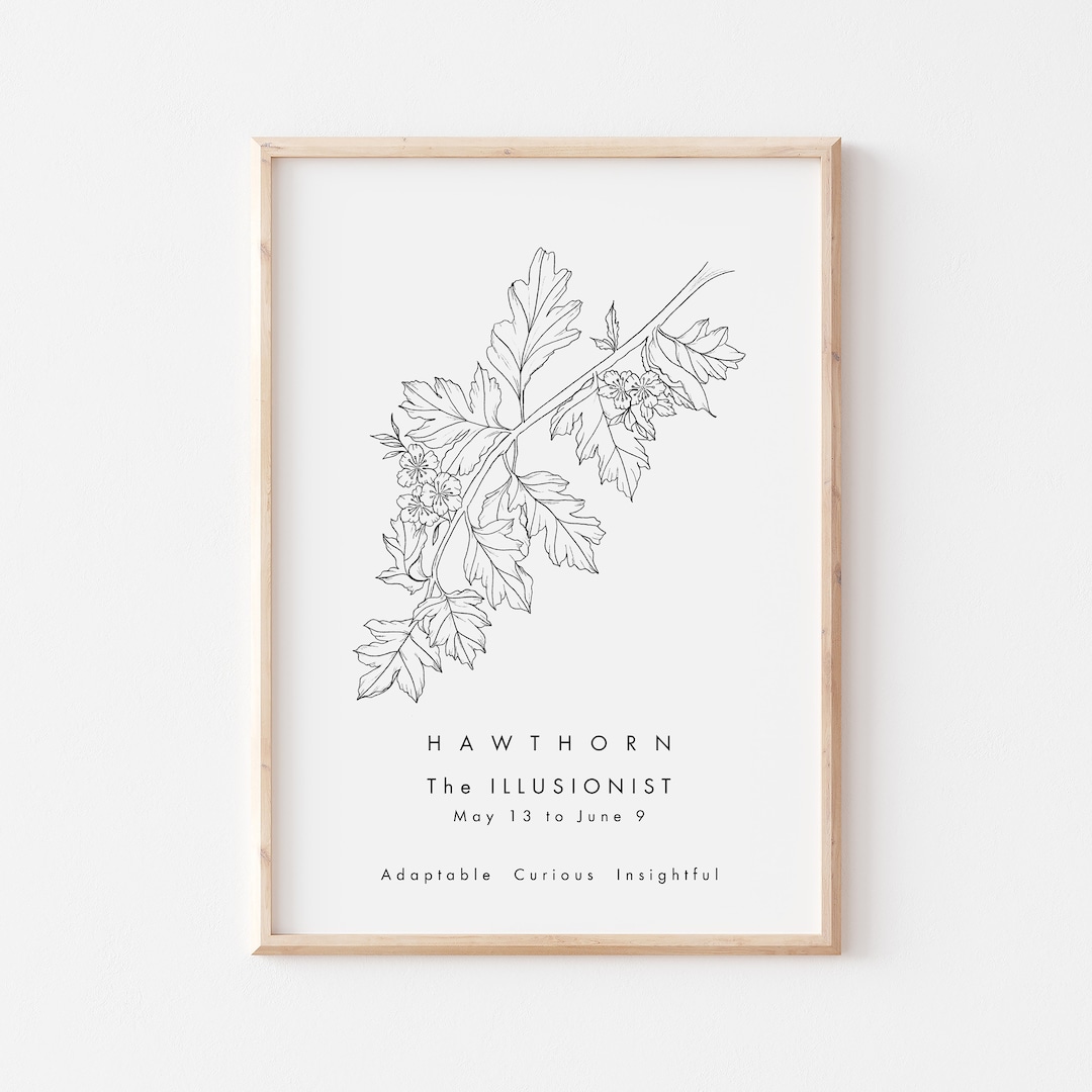 Celtic Hawthorn Tree Print/tree Astrology Print/celtic Zodiac Etsy