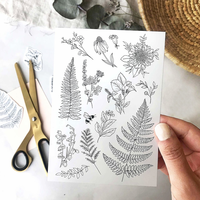 May include: A sheet of black and white botanical stickers featuring ferns, flowers, and a bee. The stickers are on a white background.
