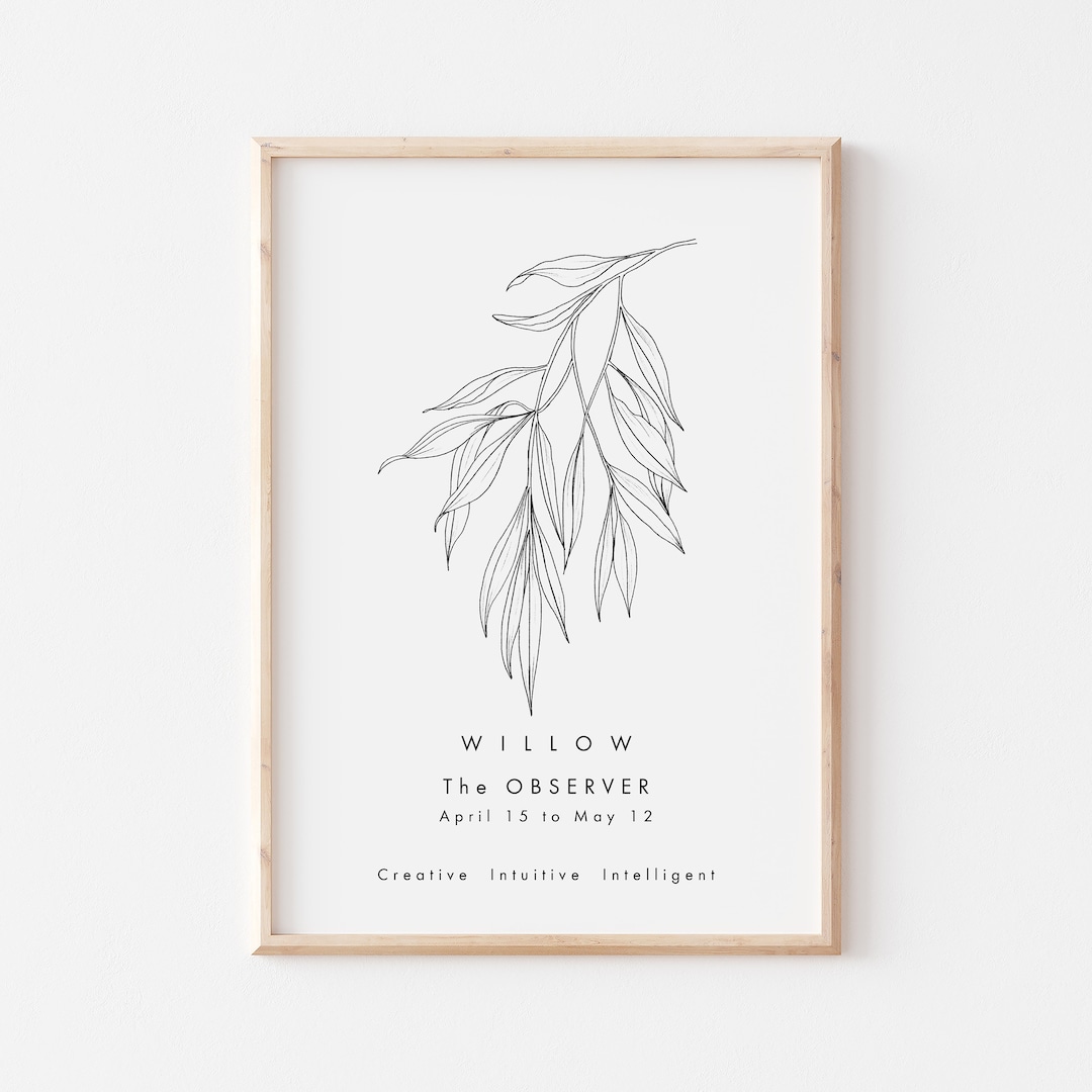 Celtic Willow Tree Print/tree Astrology Print/celtic Zodiac Etsy