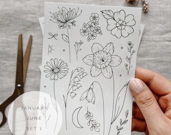 May include: A sheet of black and white line art stickers featuring flowers, leaves, and celestial elements. The text "JANUARY - JUNE SET 1" is printed at the bottom of the sheet.