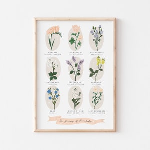 Pu&ograve; includere: Un grafico stampabile con illustrazioni di fiori e i loro significati legati all'amicizia. I fiori sono disposti in una griglia con i loro nomi e significati elencati sotto ogni illustrazione. Il grafico &egrave; intitolato "I fiori dell'amicizia."