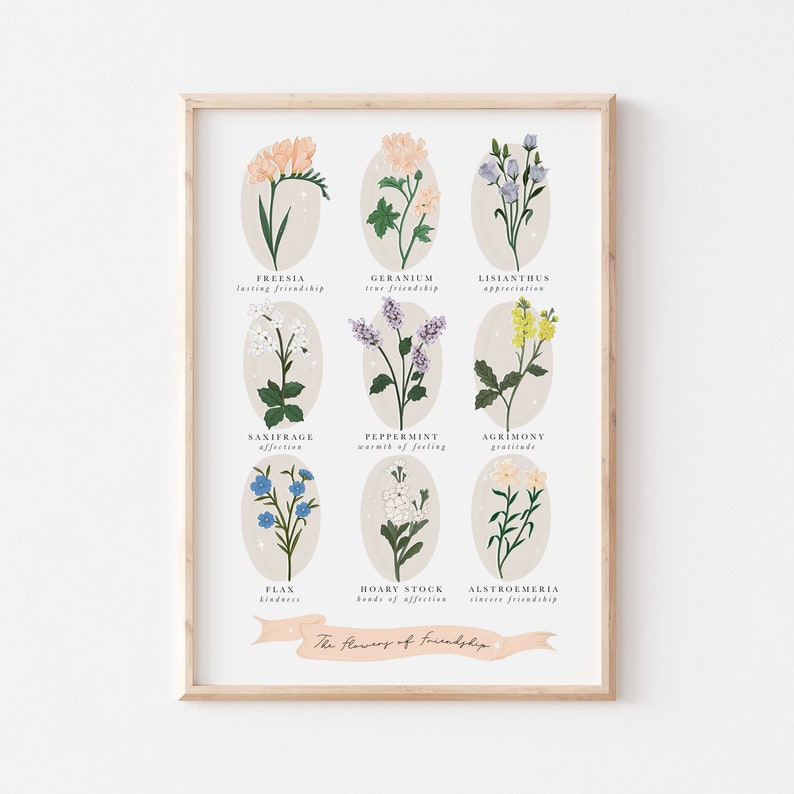 Pu&ograve; includere: Un grafico stampabile con illustrazioni di fiori e i loro significati legati all'amicizia. I fiori sono disposti in una griglia con i loro nomi e significati elencati sotto ogni illustrazione. Il grafico &egrave; intitolato "I fiori dell'amicizia."