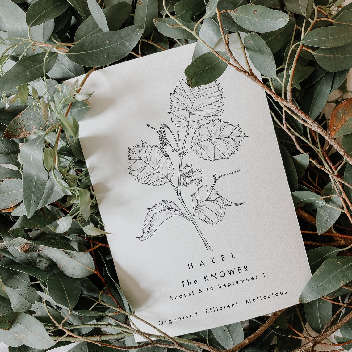 Celtic Hazel Tree Print/tree Astrology Print/celtic Zodiac Etsy UK