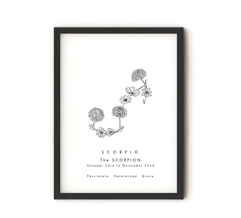 May include: Black and white line art print of the Scorpio zodiac sign, depicted as a scorpion made of flowers. The text "Scorpio The Scorpion October 23rd to November 22nd Passionate Determined Brave" is below the image.