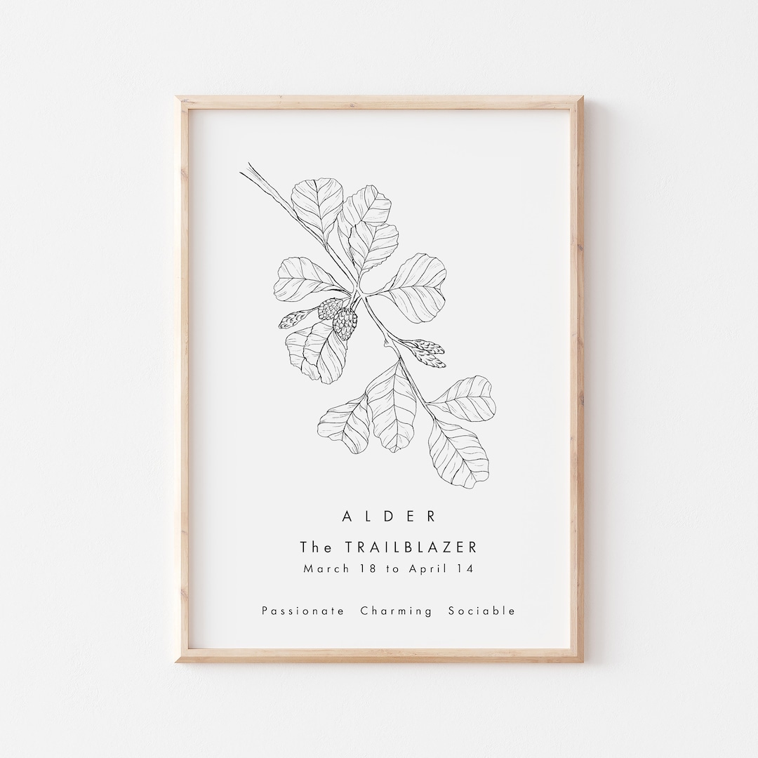 Celtic Alder Tree Print/tree Astrology Print/celtic Zodiac Print