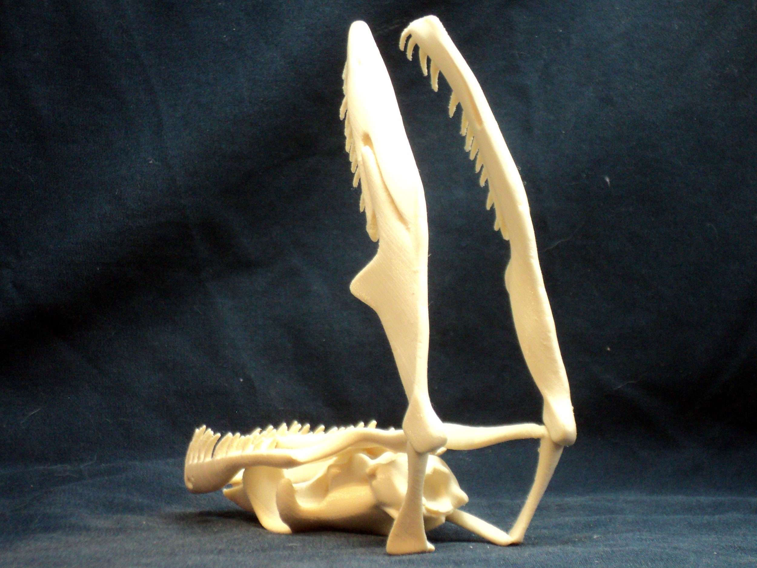 3d Printed Python Skull - Etsy