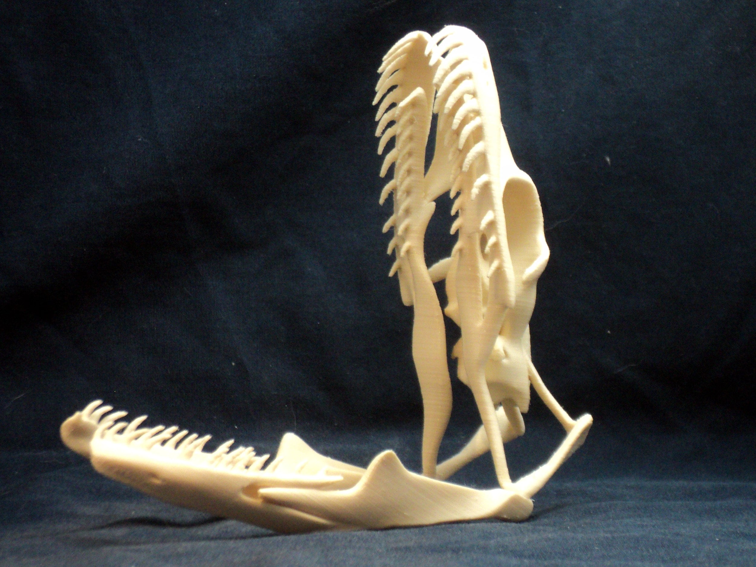 3d Printed Python Skull - Etsy