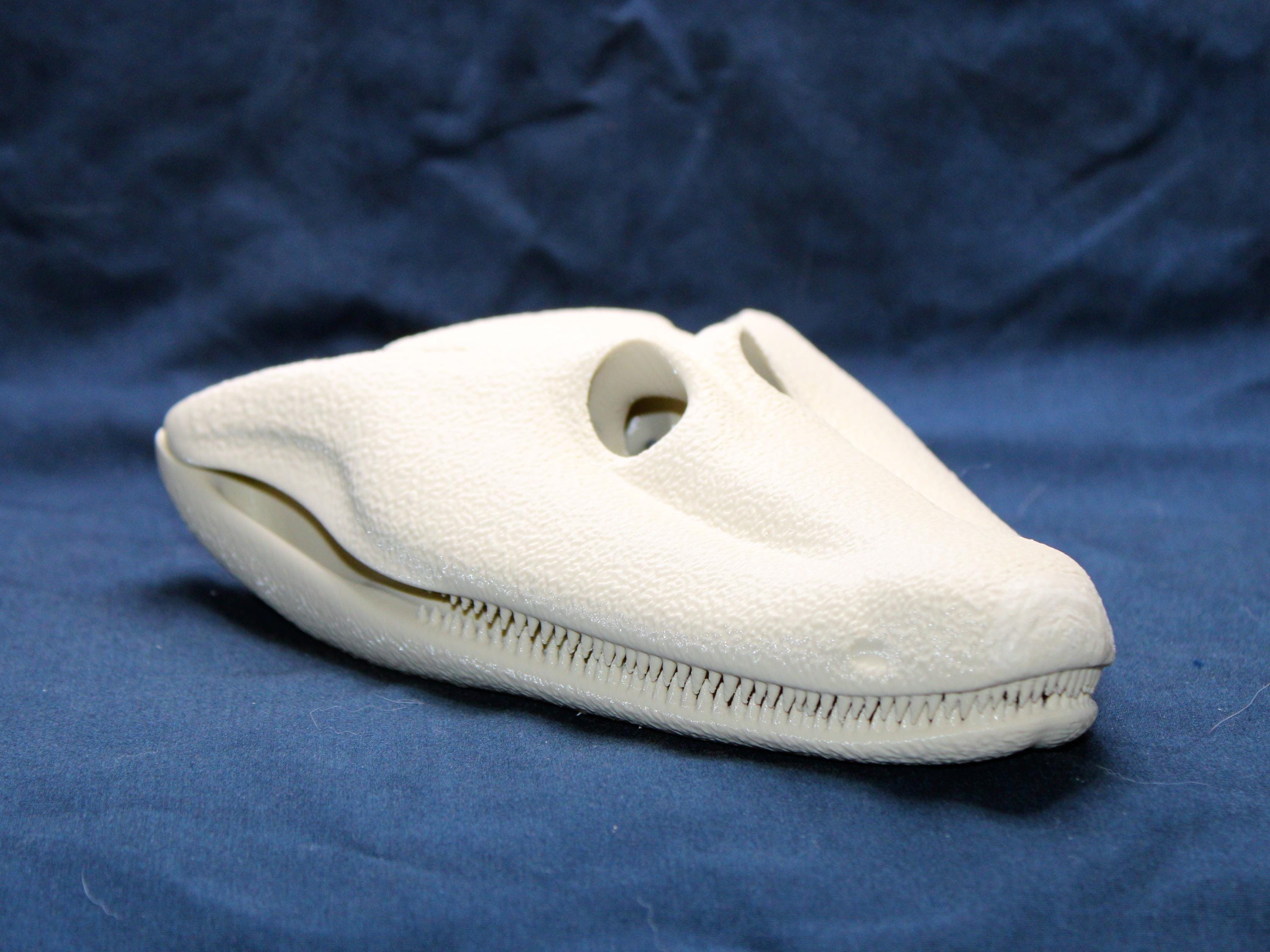 Tetrapod - Etsy