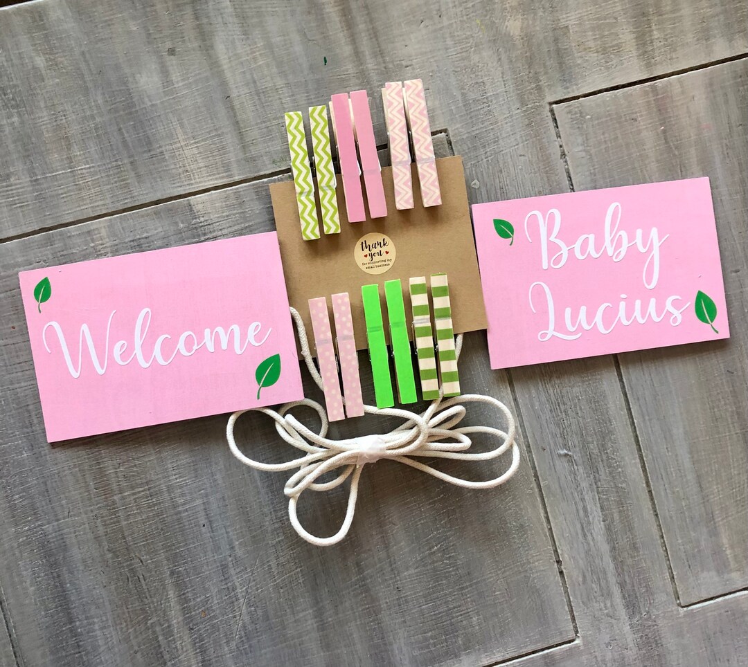 Baby Girl Shower Onesie Clothesline Display, Pink and Green Baby Girl